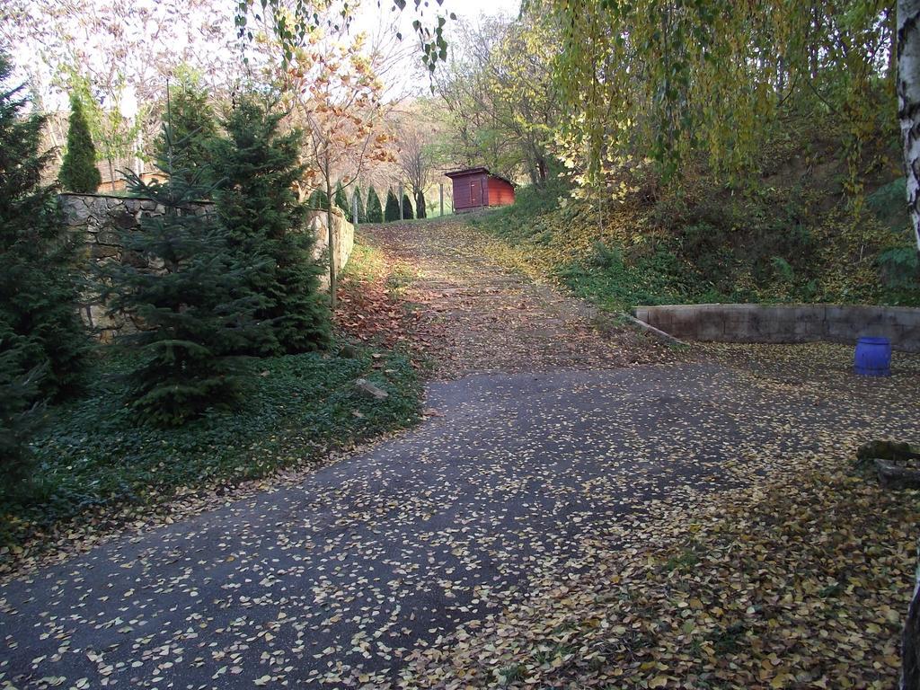 Szalma Vendégház Mogyorosbanya Extérieur photo