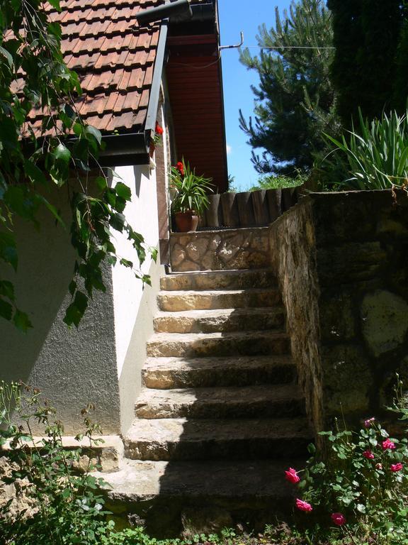 Szalma Vendégház Mogyorosbanya Extérieur photo