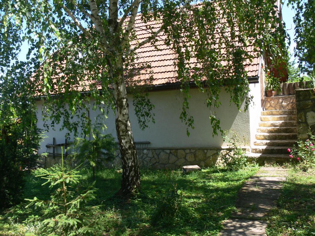 Szalma Vendégház Mogyorosbanya Extérieur photo