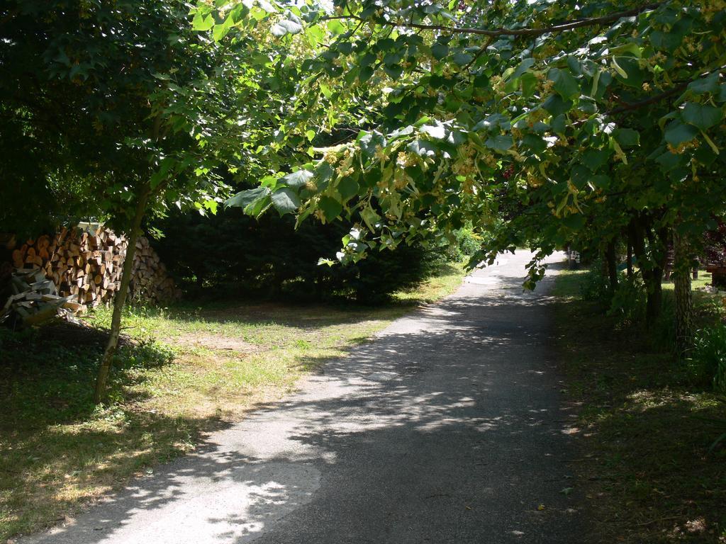 Szalma Vendégház Mogyorosbanya Extérieur photo