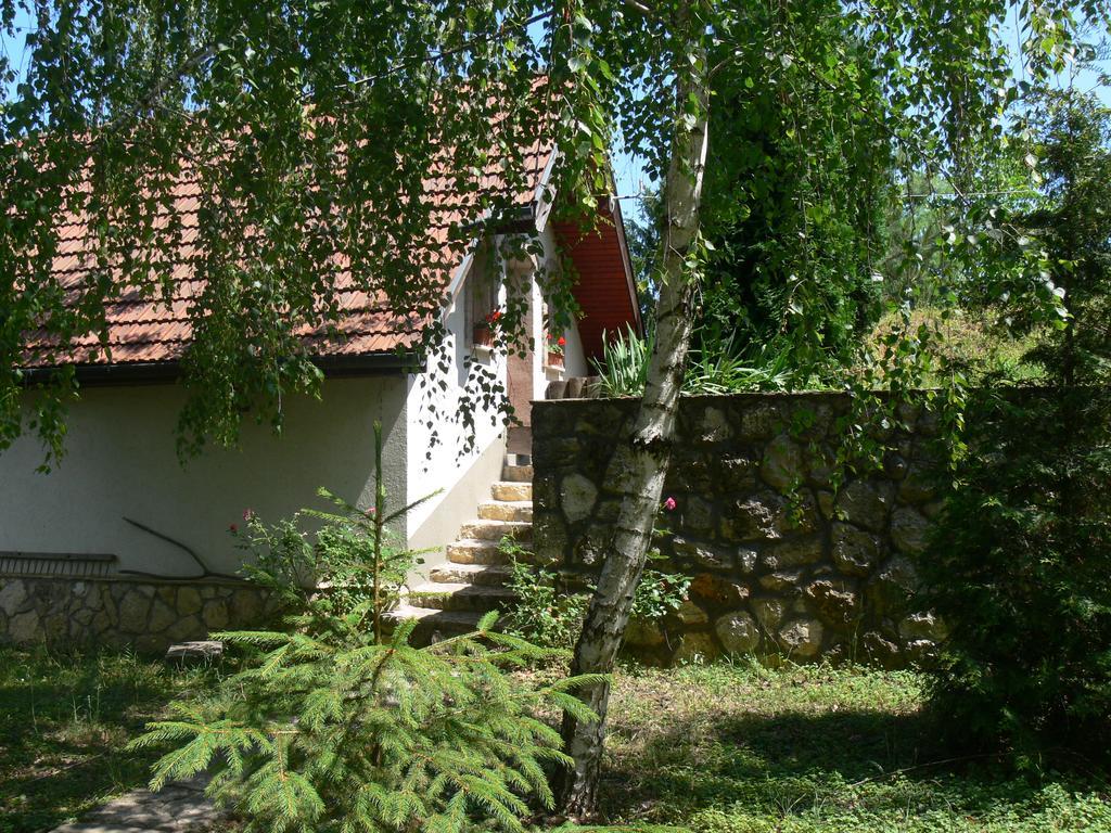 Szalma Vendégház Mogyorosbanya Extérieur photo