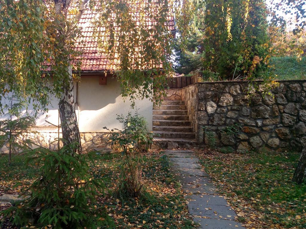 Szalma Vendégház Mogyorosbanya Extérieur photo